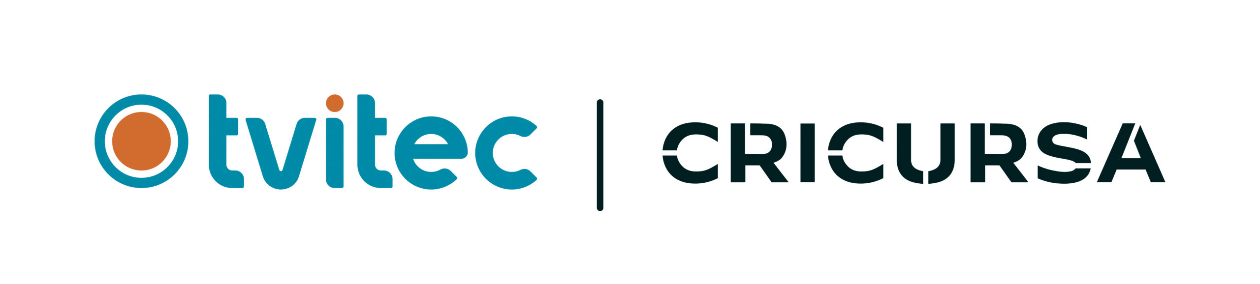 Cricursa logo